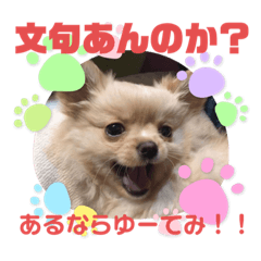 [LINEスタンプ] 麦むぎムギ
