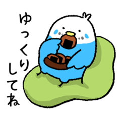 [LINEスタンプ] ぴーちゃん！ 〜私の可愛いインコ〜