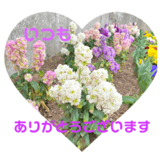 [LINEスタンプ] 大人の挨拶スタンプ〜spring〜