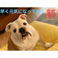 [LINEスタンプ] トン吉 スタンプ