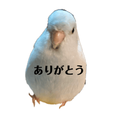 [LINEスタンプ] マメルリハのスタンプ2