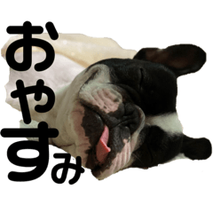 [LINEスタンプ] ボブ様
