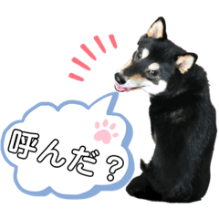 [LINEスタンプ] 奏海くんスタンプ