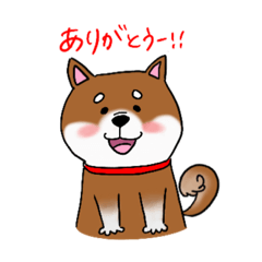 [LINEスタンプ] 柴犬のぎんさん。