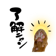 [LINEスタンプ] とらねこ、トラニャン