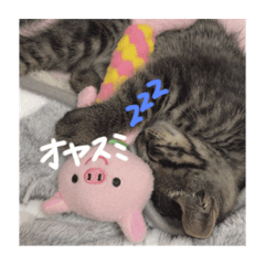 [LINEスタンプ] にゃんころりんちょ