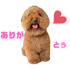 [LINEスタンプ] まるちゃんと愉快な仲間たち1