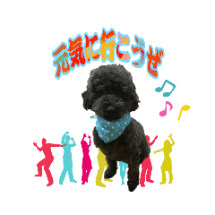 [LINEスタンプ] トイプー ラン君
