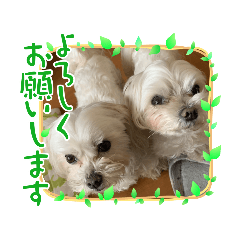 [LINEスタンプ] うずれいちゃん