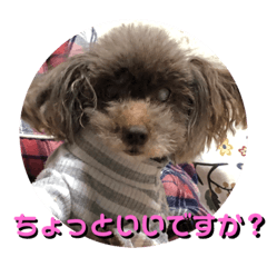 [LINEスタンプ] 死んでもやだね