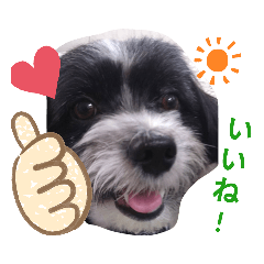[LINEスタンプ] マルパピの日々