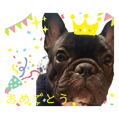 [LINEスタンプ] フレブルのムサシくん