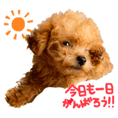 [LINEスタンプ] くまのらぐび