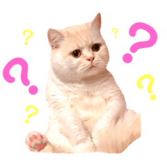 [LINEスタンプ] 佐藤さんちのごはんちゃん