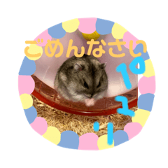 [LINEスタンプ] おちゃめな2ひき