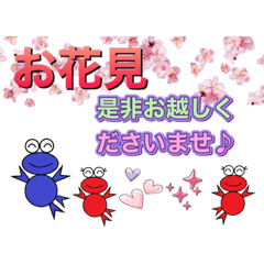 [LINEスタンプ] ぴょん太のお花見スタンプ