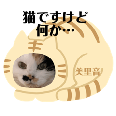 [LINEスタンプ] コロン美里音スタンプ②