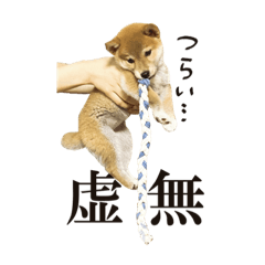 [LINEスタンプ] 柴犬のなつ(子犬編)