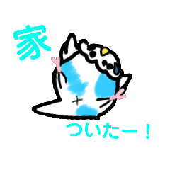 [LINEスタンプ] たくさんのインコちゃん