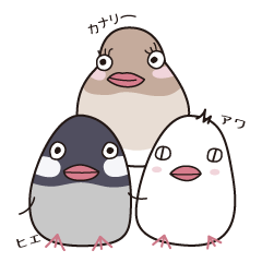 [LINEスタンプ] HOKKORI文鳥のほっこりするスタンプ