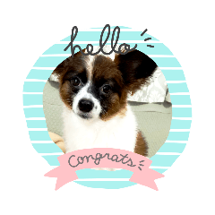 [LINEスタンプ] yukie55117@gmail.comまぃ すたんぷ