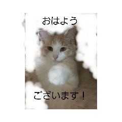 [LINEスタンプ] はる＆あき2