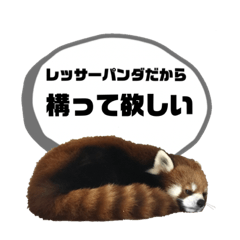 [LINEスタンプ] レッサーパンダだからと言い訳するスタンプ