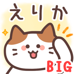 [LINEスタンプ] えりか専用♪毎日使えるBIGスタンプ