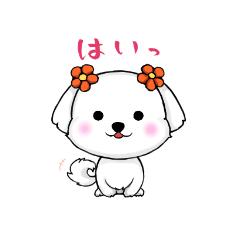 [LINEスタンプ] マルチーズのデリー