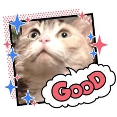 [LINEスタンプ] ほたるスタンプ2号