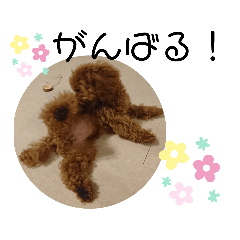 [LINEスタンプ] ティナのスタンプ15