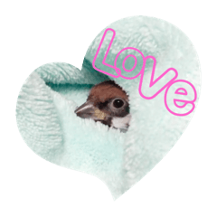 [LINEスタンプ] チビファミリー❣️