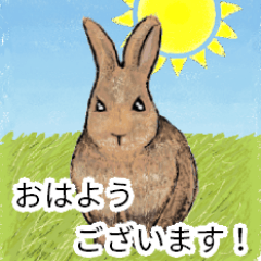 [LINEスタンプ] 茶色のうさぎ（敬語）（たんぽぽ）