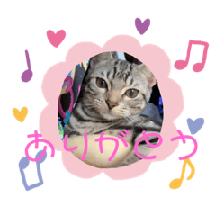 [LINEスタンプ] ゼラ＆サナ
