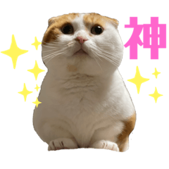 [LINEスタンプ] スコ・マンチのイート君⭐︎