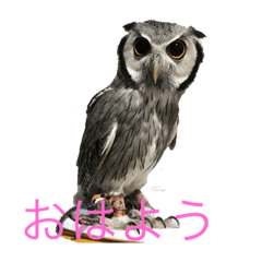 [LINEスタンプ] ぐぅ-ちゃん1