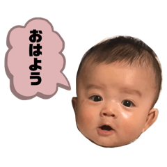 [LINEスタンプ] けんしんのすたんぷ2