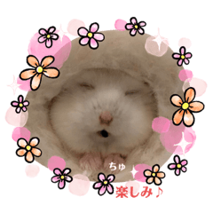 [LINEスタンプ] ほっこりハムスターのふくたん＆ふじたん♡