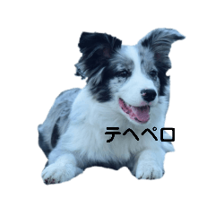 [LINEスタンプ] 迎賓館前ワンだーらんど♪