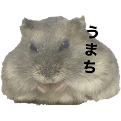 [LINEスタンプ] でんねもスタンプ