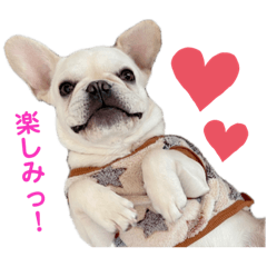 [LINEスタンプ] フレブルのジャンボ③