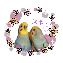 [LINEスタンプ] ピピ達との暮らし第2弾