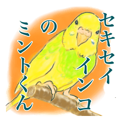 [LINEスタンプ] 黄色と緑のセキセイインコ ミントくん