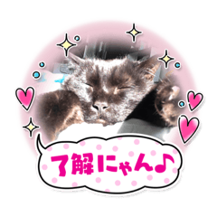 [LINEスタンプ] まる #2