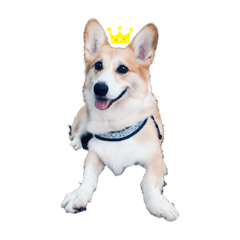 [LINEスタンプ] ふくぼん丸