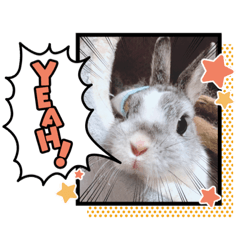 [LINEスタンプ] うさぎのぶんぶん