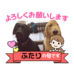 [LINEスタンプ] BOSS君とNICOちゃん時々かんな