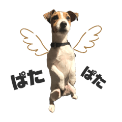 [LINEスタンプ] AVIHですぅ。