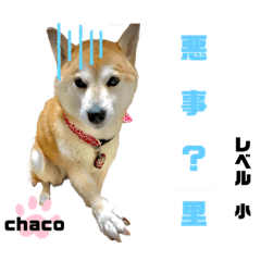 [LINEスタンプ] 四字熟語のお勉強