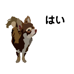 [LINEスタンプ] 犬のモカちゃんスタンプ